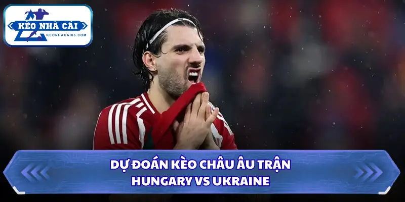 Soi Kèo Nhà Cái Hungary Vs Ukraine 01h45 Ngày 26/09/2026 - UEFA Nations League 3 Soi kèo nhà cái Hungary vs Ukraine qua kèo châu Âu