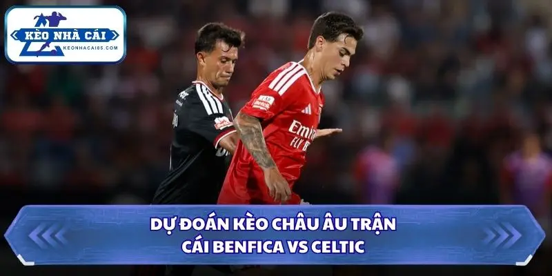 Soi Kèo Nhà Cái Benfica vs Celtic Lúc 02h00 Ngày 16/10/2026 - UEFA Europa League 3 Phân tích tỷ lệ châu Âu và xu hướng bảng kèo trước trận