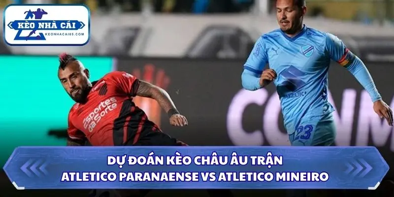Chi tiết tỷ lệ châu Âu và xu hướng thị trường trước trận