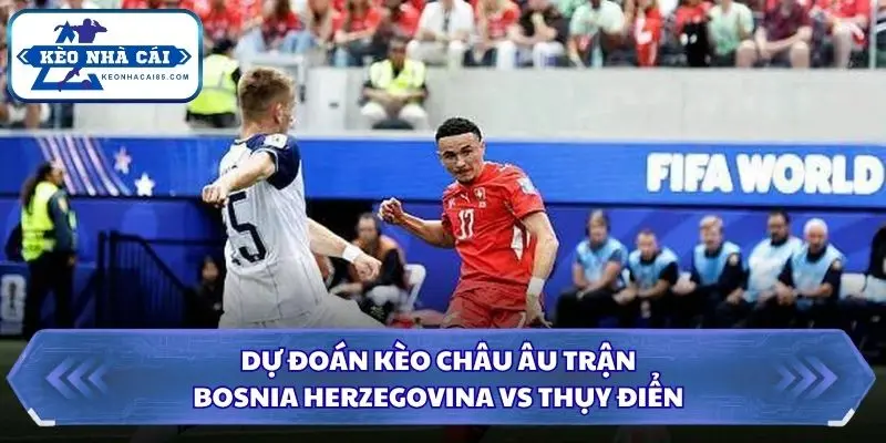 Chi tiết tỷ lệ châu Âu và xu hướng thị trường