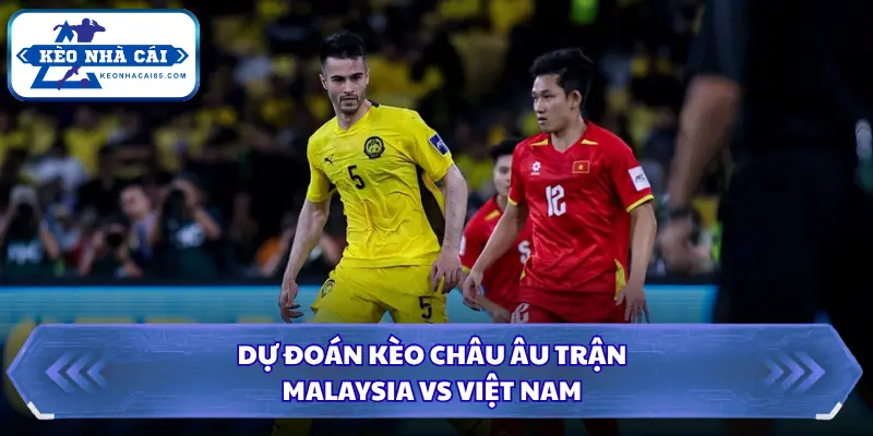 Soi Kèo Nhà Cái Malaysia vs Việt Nam 16h00 Ngày 05/10/2026 - FIFA ASEAN Cup 3 Tỷ lệ châu Âu và xu hướng dòng tiền trước trận